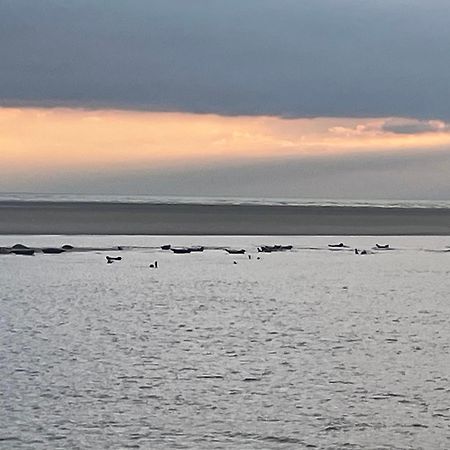 Gite Chti Picard Parking Prive Gratuit Et 100M De La Plage Berck Dış mekan fotoğraf